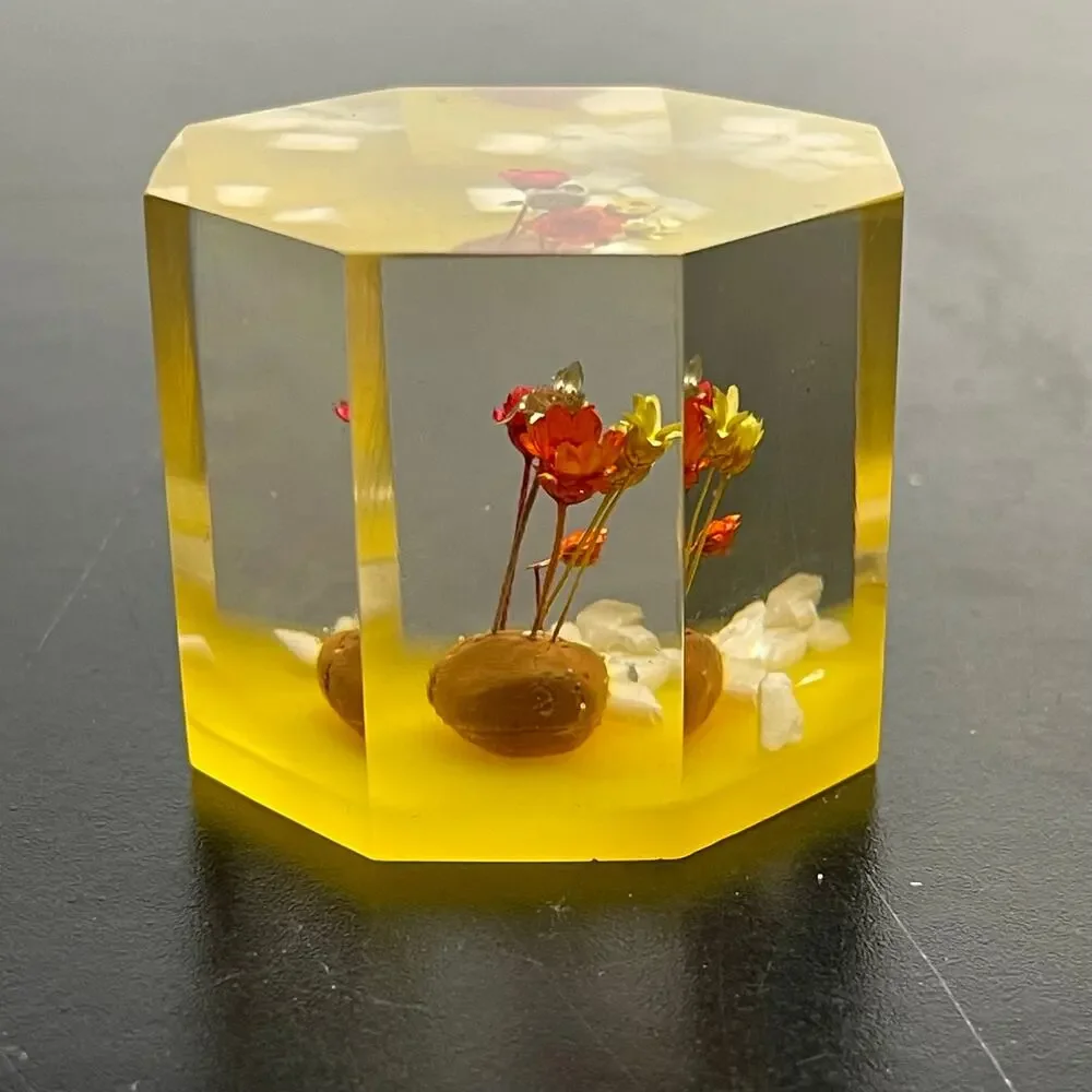 Vtg Lucite Acrylic Paperweight with Dried Straw Flowers 1.5